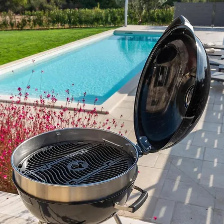 Hizina Veleniki Vila *